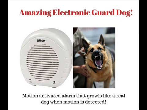 Motion Activated Electronic Dog